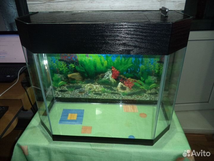 Новые Аквариумы 20.40.50.60.80.100 и 130 л