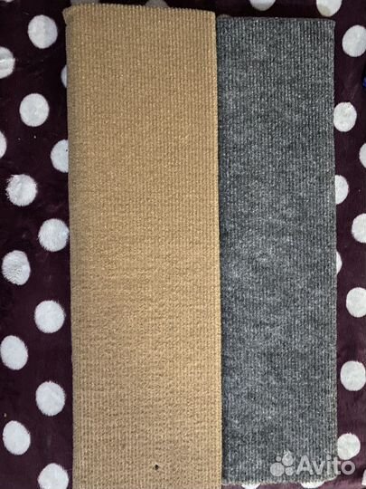 Кошачья когтеточка