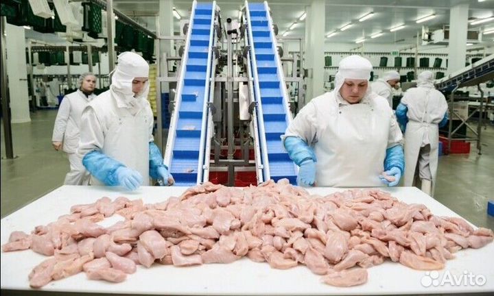 Разнорабочий на производство(вахта)