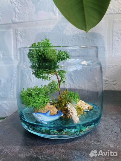 Флорариум моссариум