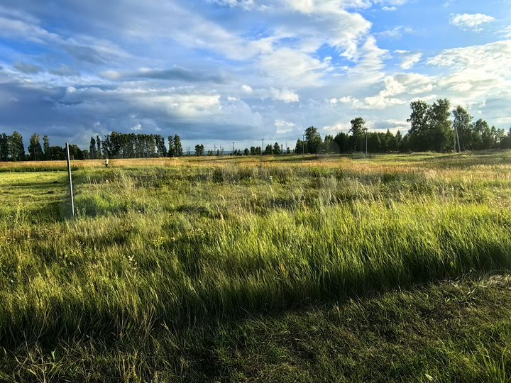 Участок 10 сот. (ИЖС)