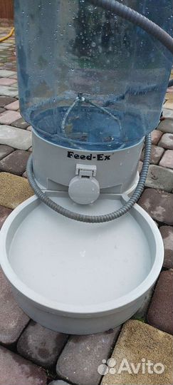 Автоматическая кормушка для домашних животных