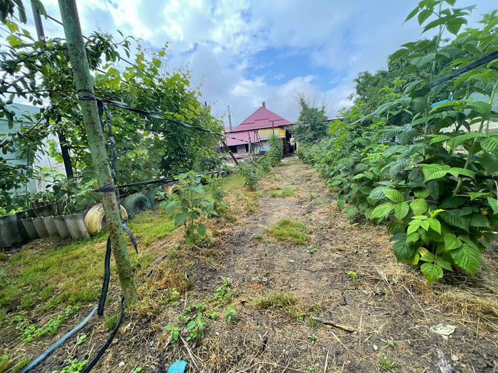 Дом 113 м² на участке 8 сот.