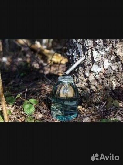 Березовый сок