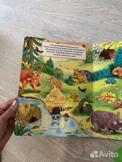 Книга с окошками и найди и покажи