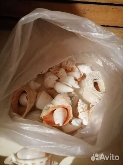 Камешки, ракушки с моря