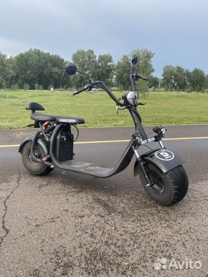 White Siberia WS PRO Ligh