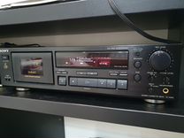 Глухие и звонкие согласные звуки в русском языке таблица. Кроссворд на тему о е после шипящих. Динамика разновидности в музыке. Очень тихое звучание 10 букв. Фонетика русского языка гласные.