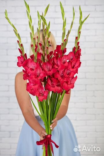 Гладиолусы, букет гладиолусов