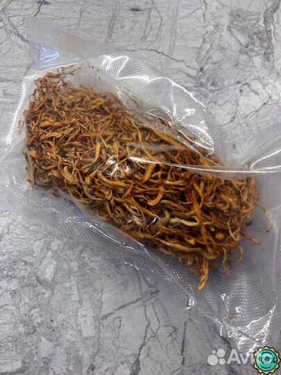 Кордицепс гриб