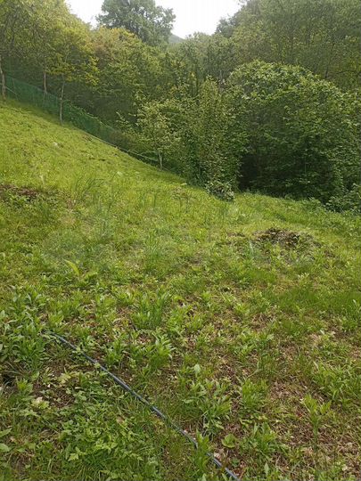 Участок 3,5 сот. (ИЖС)