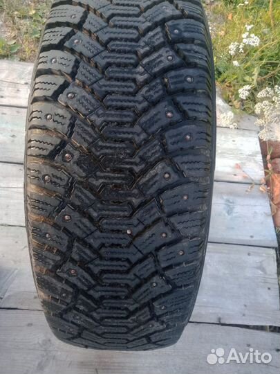 Cordiant Polar 195/55 R15