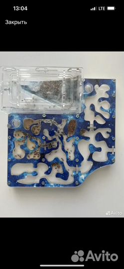 Муравьиная ферма