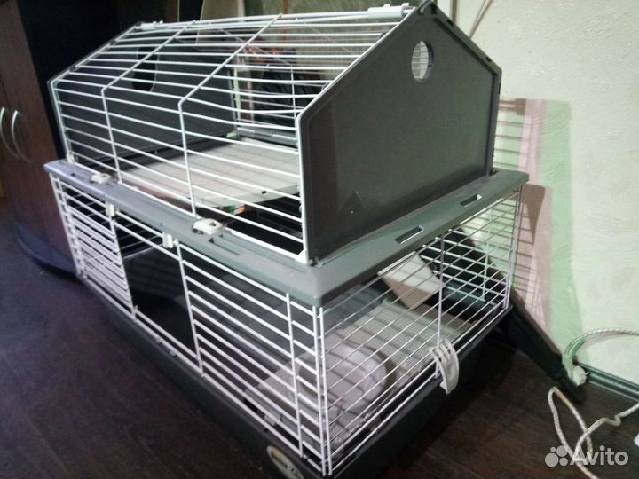 Клетка. Аквариум