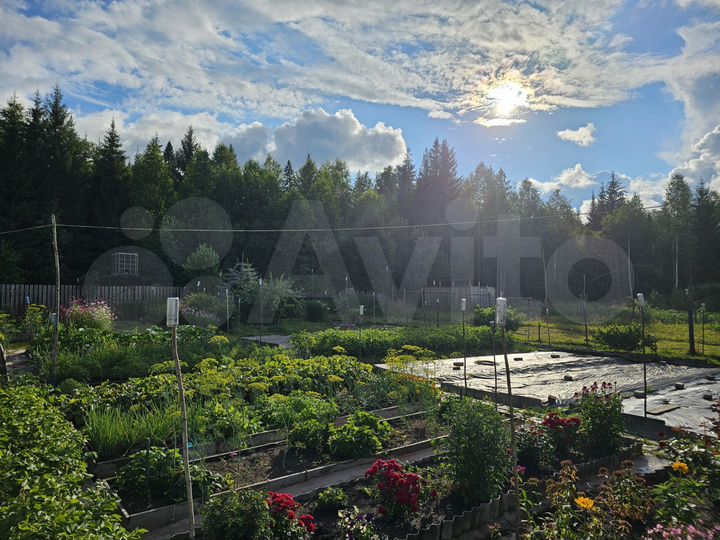 Дом 50 м² на участке 8,5 сот.