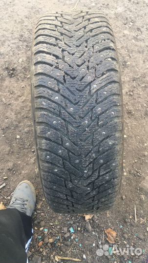 Nordman 8 205/55 R16 99V