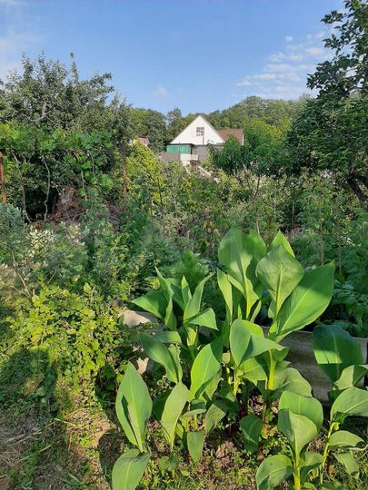 Участок 7,1 сот. (ИЖС)