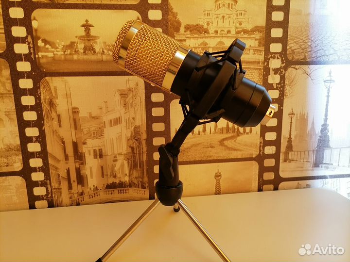 Микрофон bm 800