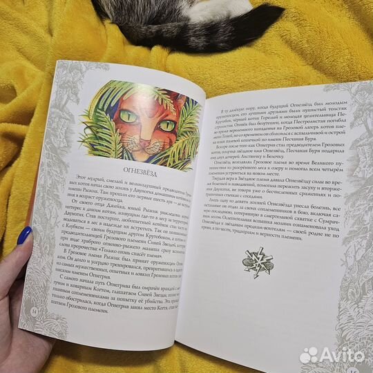 Коты воители книги