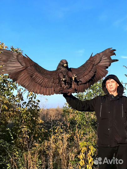 Предметы декора для интерьера