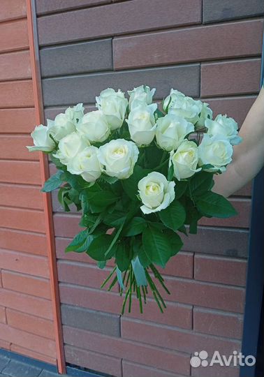 Розы оптом
