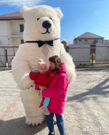 Аниматор мишка