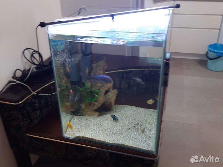 Аквариум