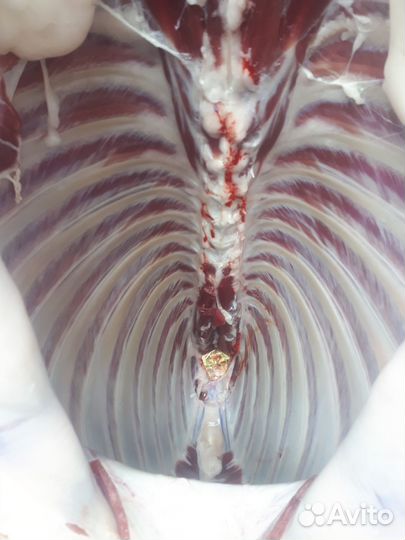 Забой скота