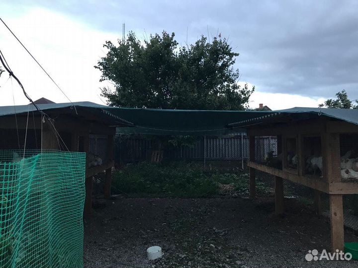 Курятник для кур