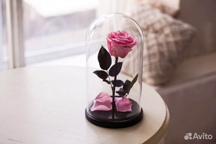 Роза в колбе 