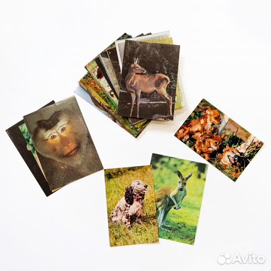 Открытки СССР чистые