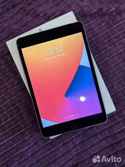 iPad mini 4 128gb cellular