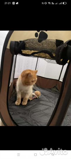 Вольер,манеж