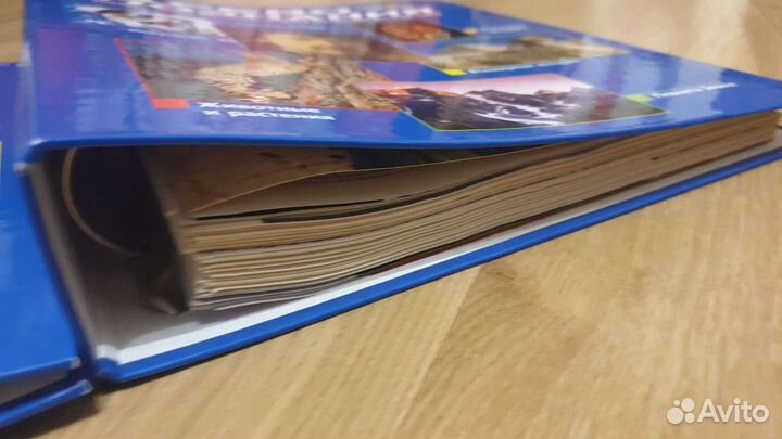 Энциклопедия 