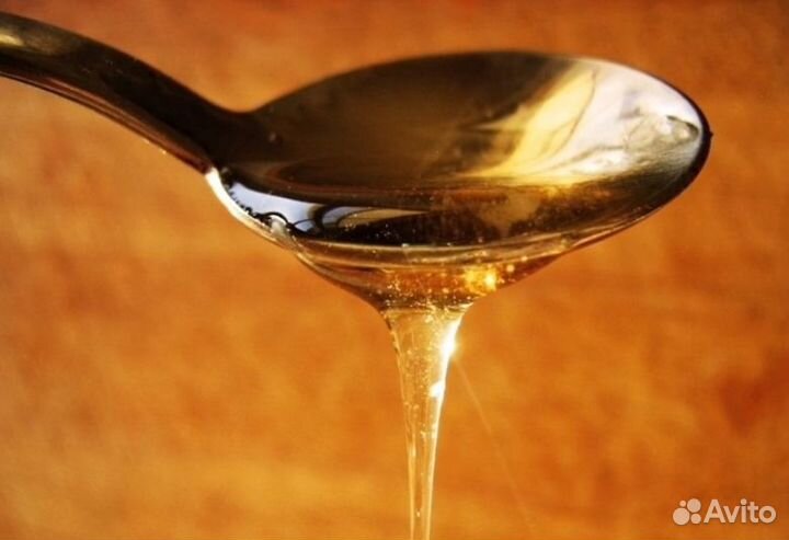 Мед из Алтая оптом