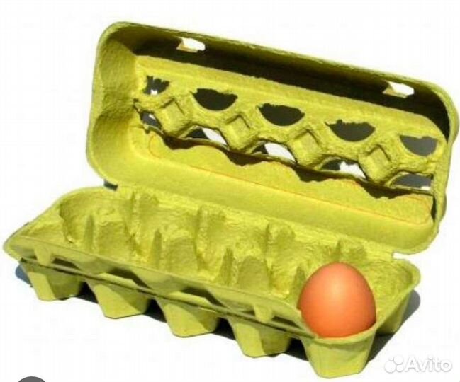 Упаковка картонная для яиц