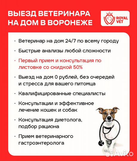 Ветеринарный врач на дом в Воронеже