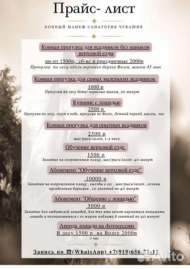 Конные прогулки