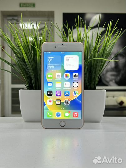 iPhone 8 Plus, 256 ГБ