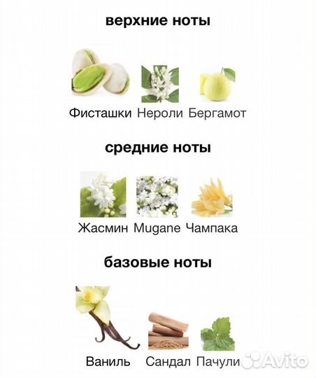 Распив 10 мл Pure Jasmine Trussardi