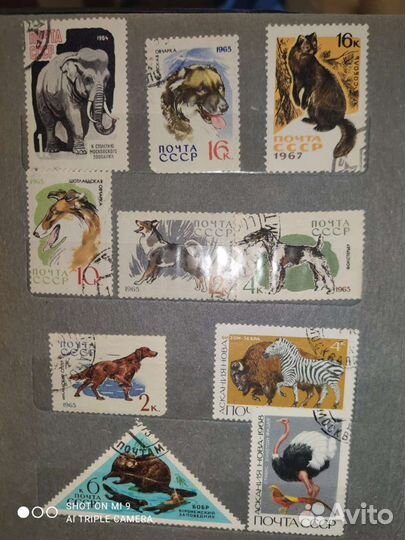 Почтовые марки СССР