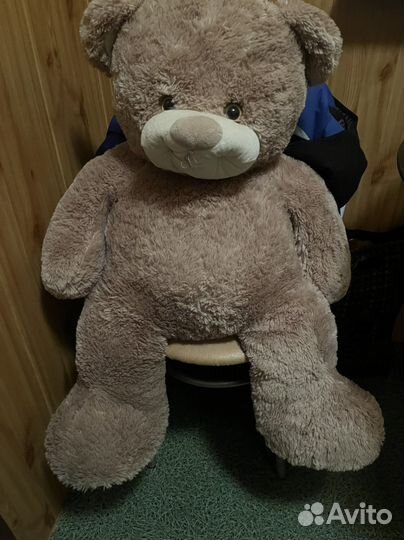 Плюшевый медведь