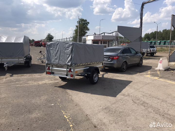 Удлиненные Спутники в полном цинке