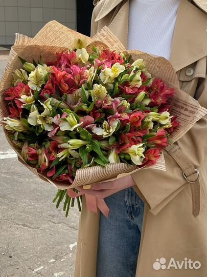 Альстромерия, букет альстромерий