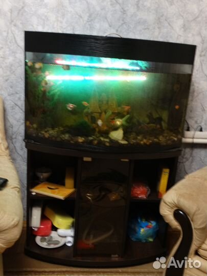 Аквариум на 150 и 120 литров
