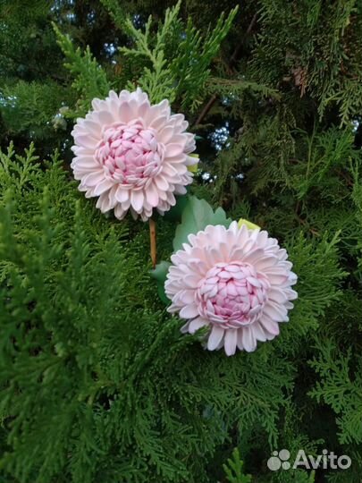 Цветы для волос