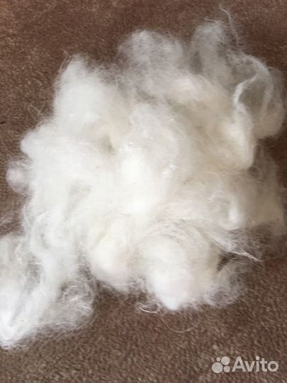 Пух самоеда