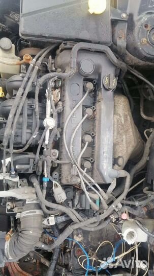 Двигатель 2л LF18 141л Mazda 6 GG — Mazda 6