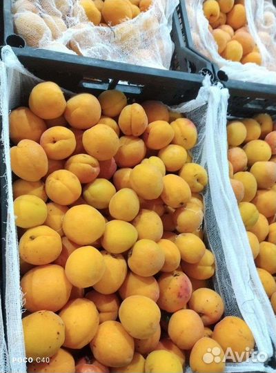 Абрикосы ящик 8кг фрукты доставка бесплатно