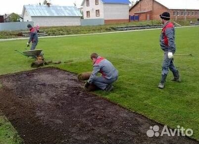 Газон рулонный